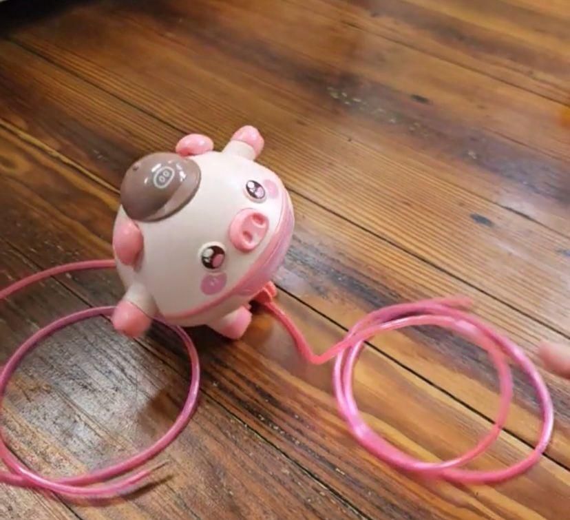 Tightrope Walking Pig Toy: Fun & Educational Gift for Kids!